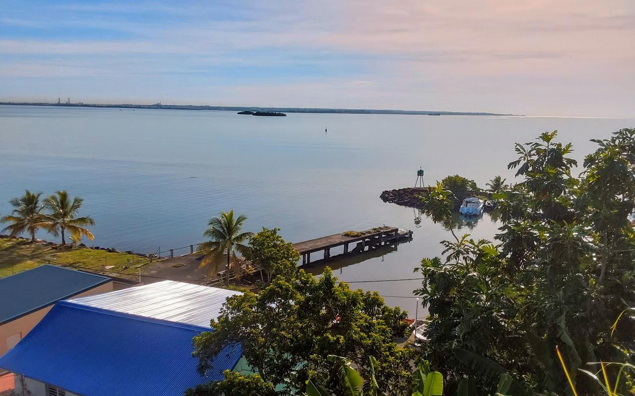 Paysage de Petit-Bourg